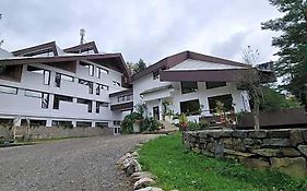 Randunica